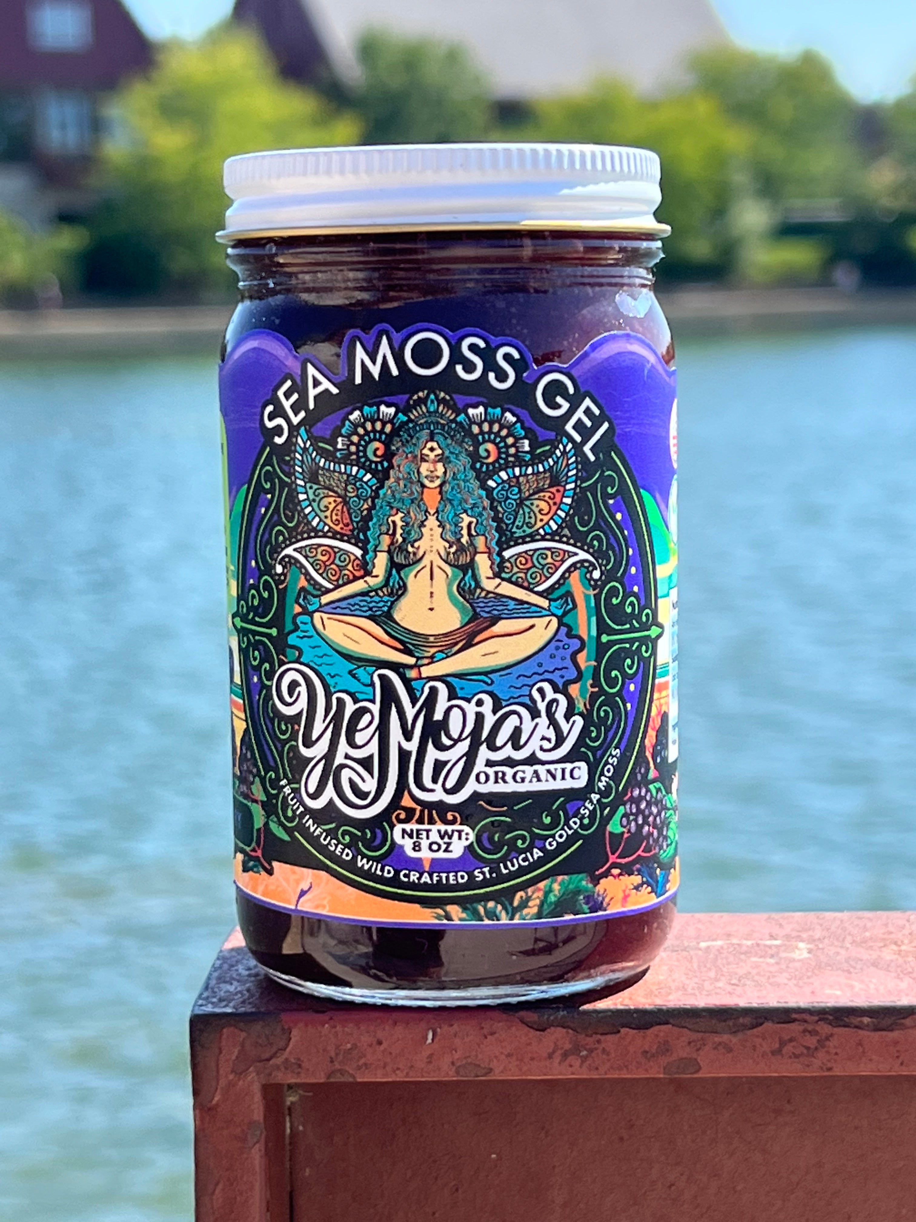 Organic Elderberry Sea Moss Gel