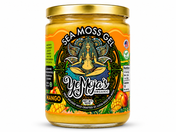 Organic Mango Sea Moss Gel
